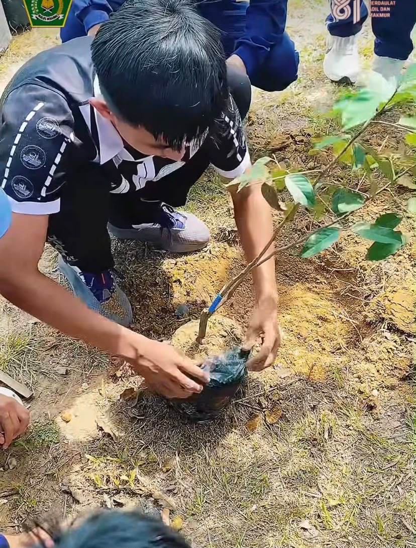 Gerakan Penghijauan di MAN INSAN CENDEKIA SIAK, Kecamatan Tualang — Aksi Murid MAN Insan Cendekia Siak