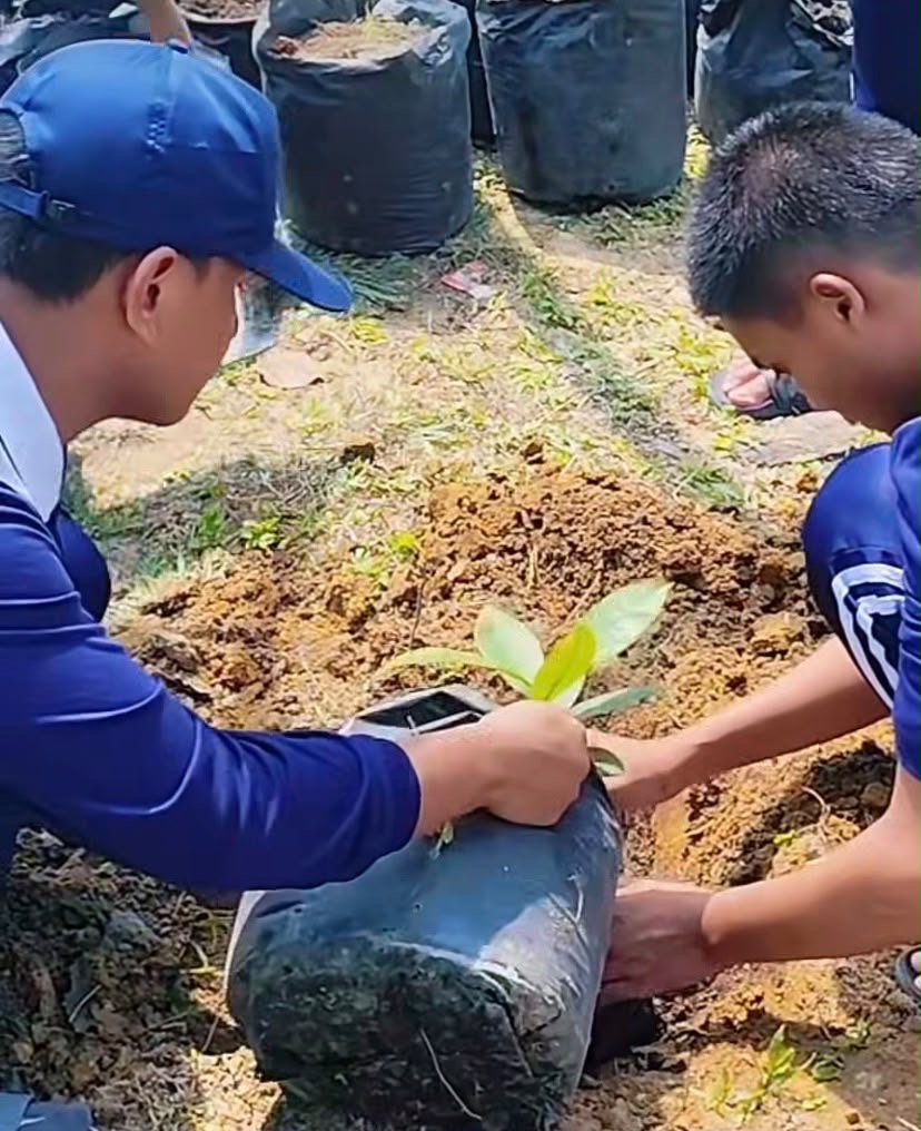 Dokumentasi kegiatan Penanaman Bibit Buah