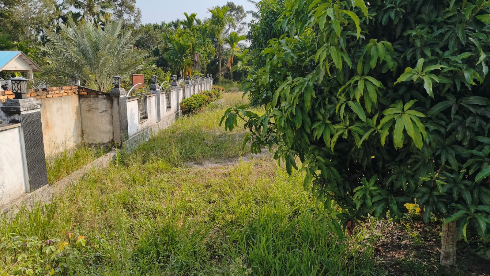 Dokumentasi kegiatan Gerakan Bersih-Bersih Masjid (GEBER MAS) di Kecamatan Bungaraya (Masjid Al-Muhajirin Jayapura, Masjid Robitotul Abidin Jayapura, Masjid Al-Muhajirin Bungaraya, Masjid Nurul Huda Dayang Suri)