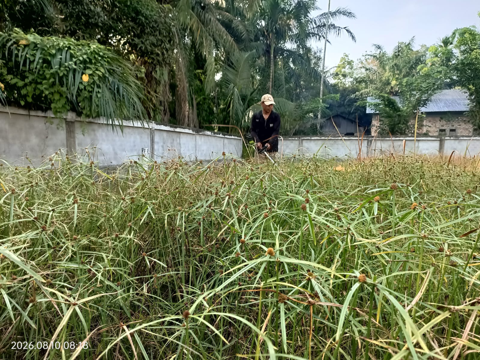 Dokumentasi kegiatan Membersihkan Masjid Al Furqon