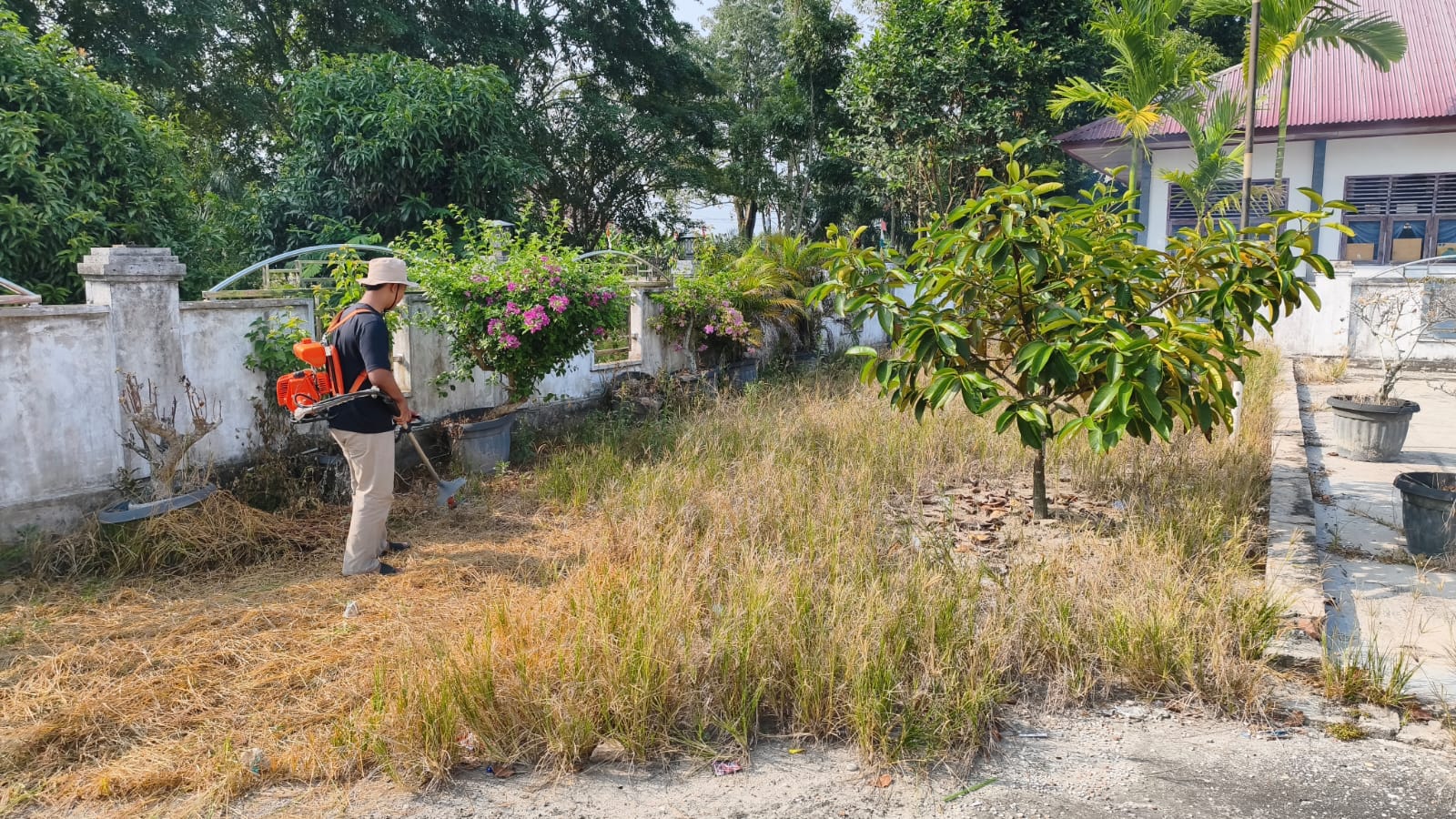 Dokumentasi kegiatan GEBER MAS Sempena HUT  KE-81 Republik Indonesia